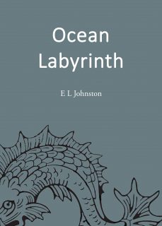 Read more about the article Ocean Labyrinth