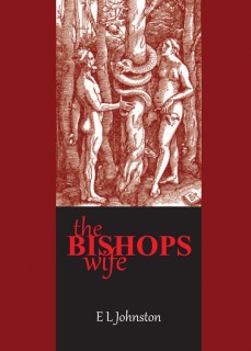 Read more about the article The Bishops Wife